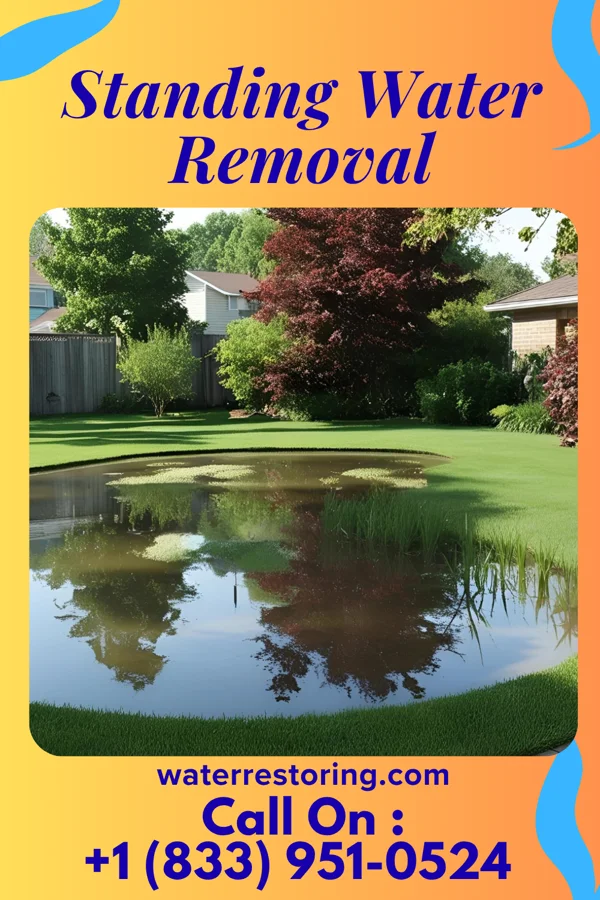 Standing Water Removal in Onslow, IA